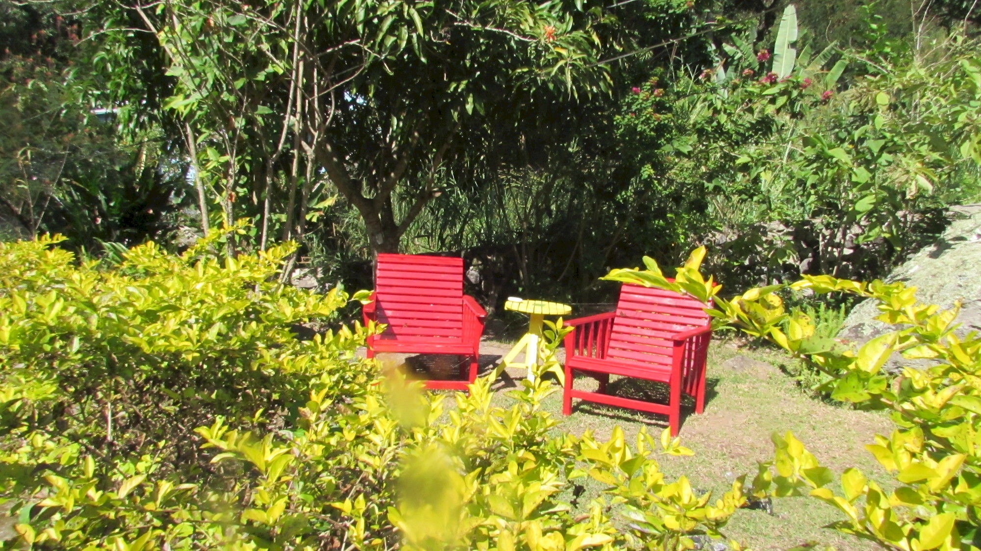 Rafjam Bed & Breakfast Kingston Ngoại thất bức ảnh